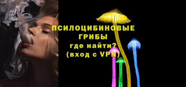 МДМА Белокуриха