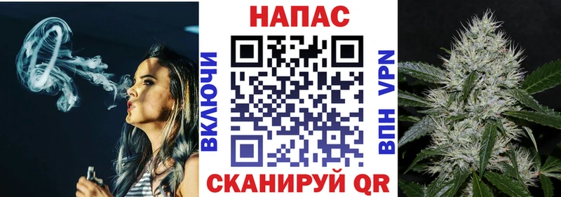 мориарти официальный сайт  Чёрмоз  Бошки марихуана Bruce Banner 